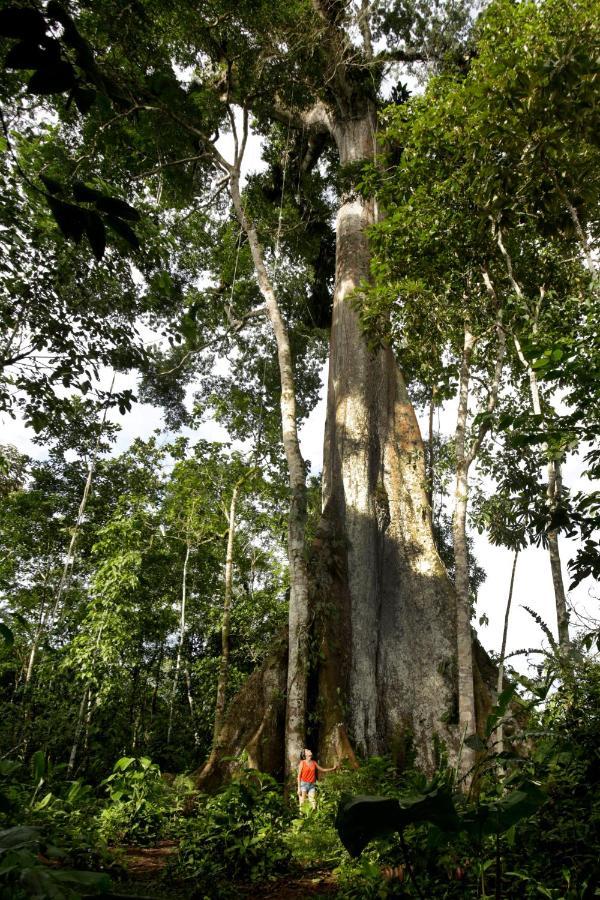 Misahualli Amazon Lodge Buitenkant foto